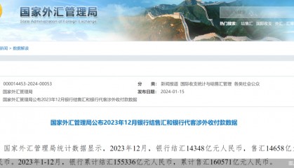 银行结售汇最新数据公布,释放外汇市场何种信号?