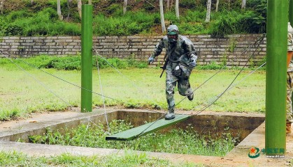 从操场通往战场,组训模式之变带来训练场新景观