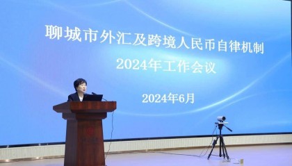 聊城市外汇及跨境人民币自律机制2024年工作会议成功召开