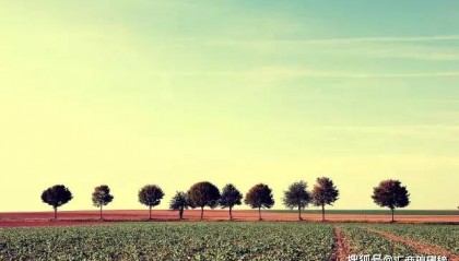 (原创)外汇交易两年,首要是处理好做外汇交易的盈利预期问题