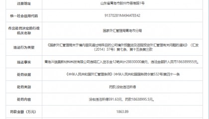 青岛一企业违反外汇规定获利591元,被罚1863万