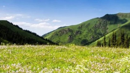 NCE外汇:石油数据强劲需求却低迷