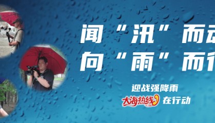 大到暴雨卷土重来!最新预警发布,降雨时间段是......