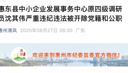 隐瞒入党前严重错误!惠州惠东县一原四级调研员被“双开”
