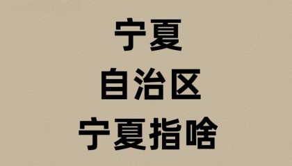 宁夏自治区的宁夏是啥意思?