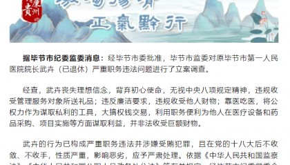 严重职务违法,原院长武卉被取消相应退休待遇