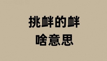 挑衅的衅是啥意思?