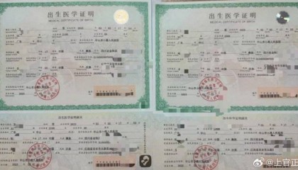 上官正义曝17岁女孩代孕生下双胞胎,广州市卫健委:正在核实情况