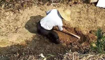 老农地里挖出“神兽”,放在家里发出怪叫声,仓皇捐出成一级国宝