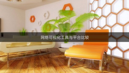 网络可视化工具与平台比较