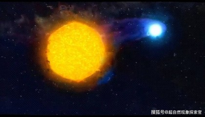 人是由什么构成的？