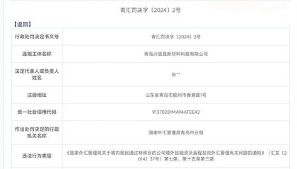一企业违法所得少,为何被罚超1800万元?外汇局青岛分局回应
