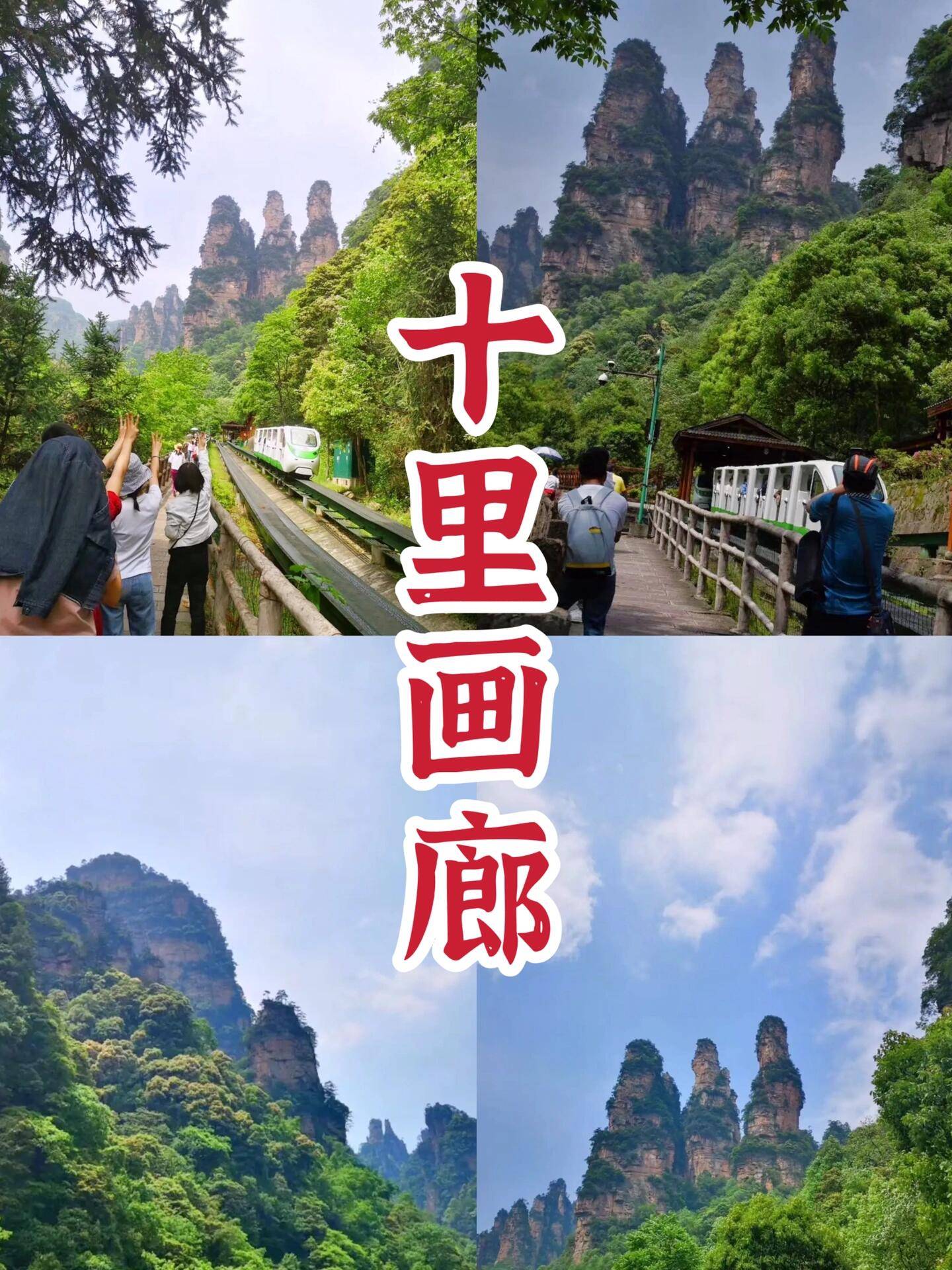 深圳至张家界旅游团电话 ,必打卡&amp;不踩雷,收藏!