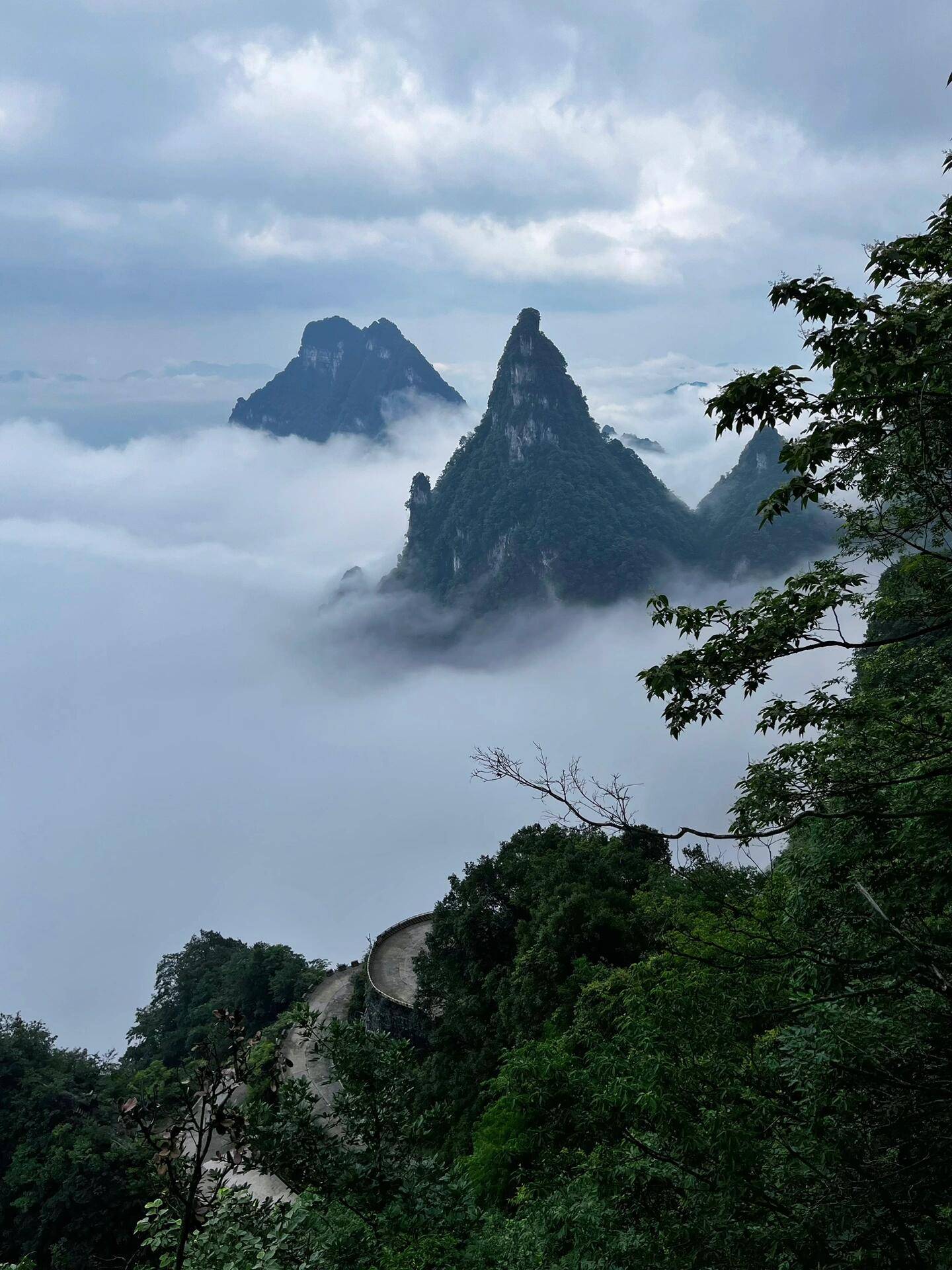 深圳至张家界旅游团电话 ,必打卡&amp;不踩雷,收藏!