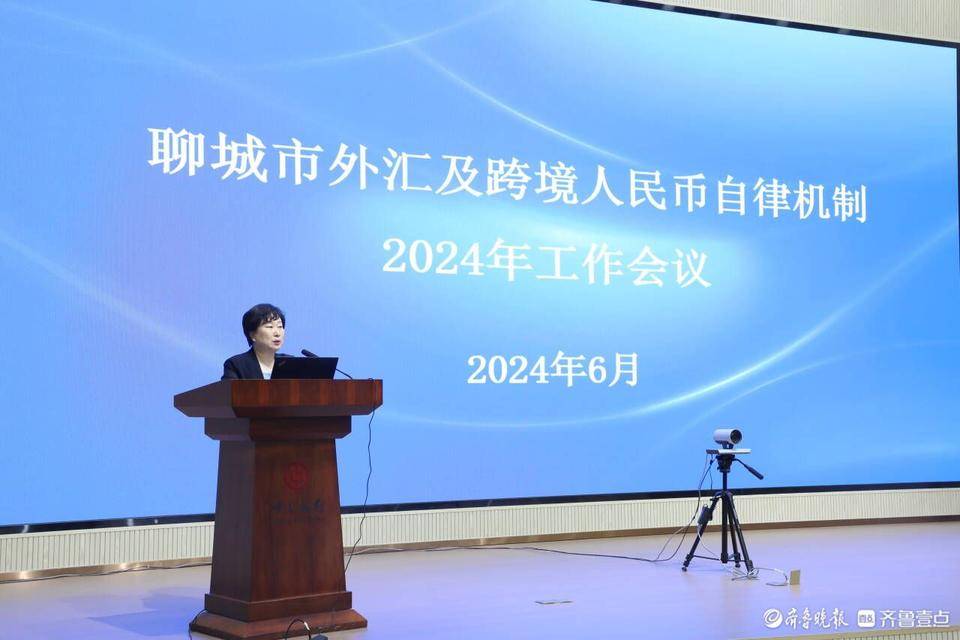 聊城市外汇及跨境人民币自律机制2024年工作会议成功召开