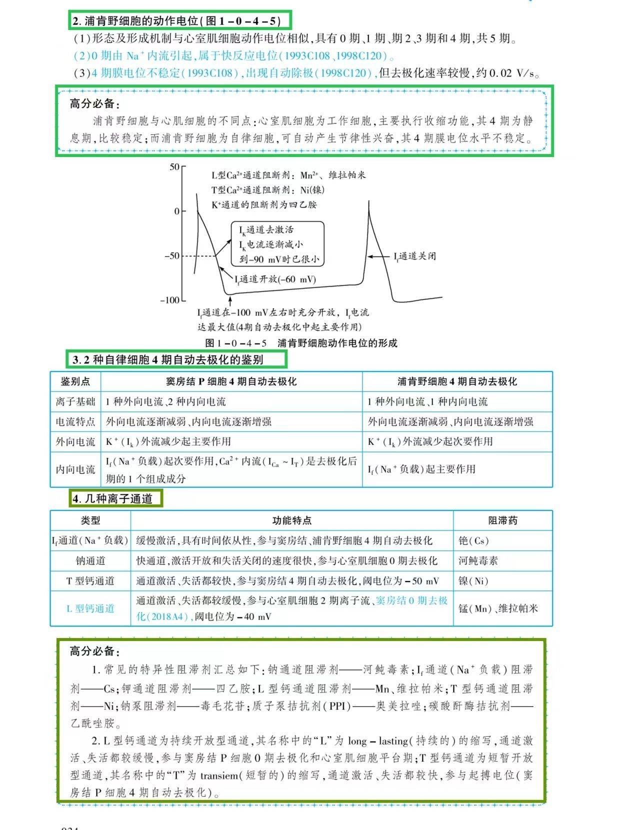 杨净考研西医综合自律细胞跨膜电位形成机制