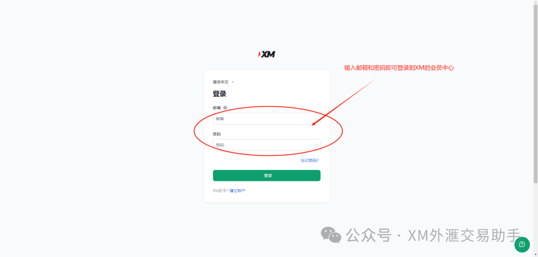 在XM外汇平台上，我能拥有多少个账户？