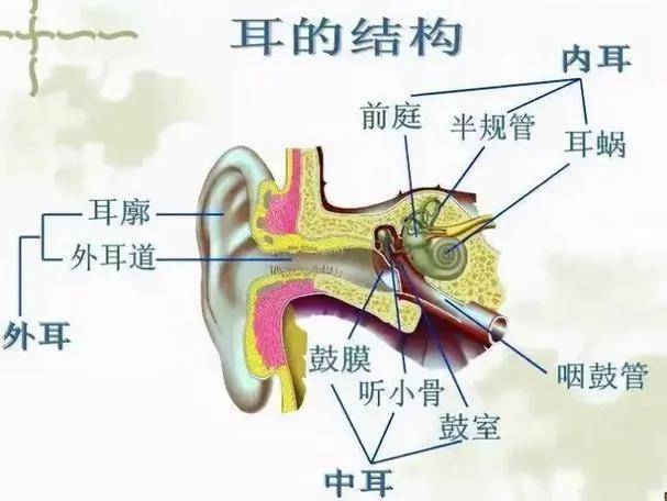 走路靠滚、水陆两栖、察打一体，警用球形机器人火了！