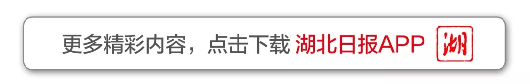 王忠林出席2025年湖北省科技创新大会并讲话