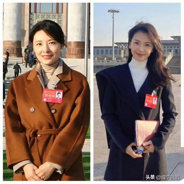 刘涛周涛人民大会堂同穿正装，显女明星与女干部差距