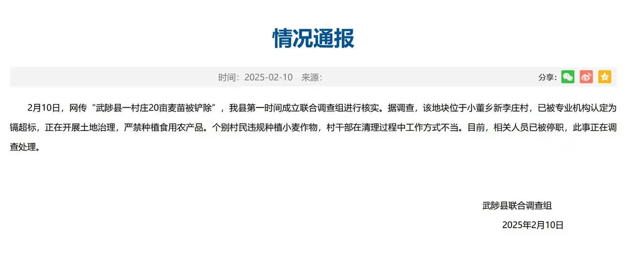 官方通报村民20亩麦苗被铲除，说是土地污染得拿出证据