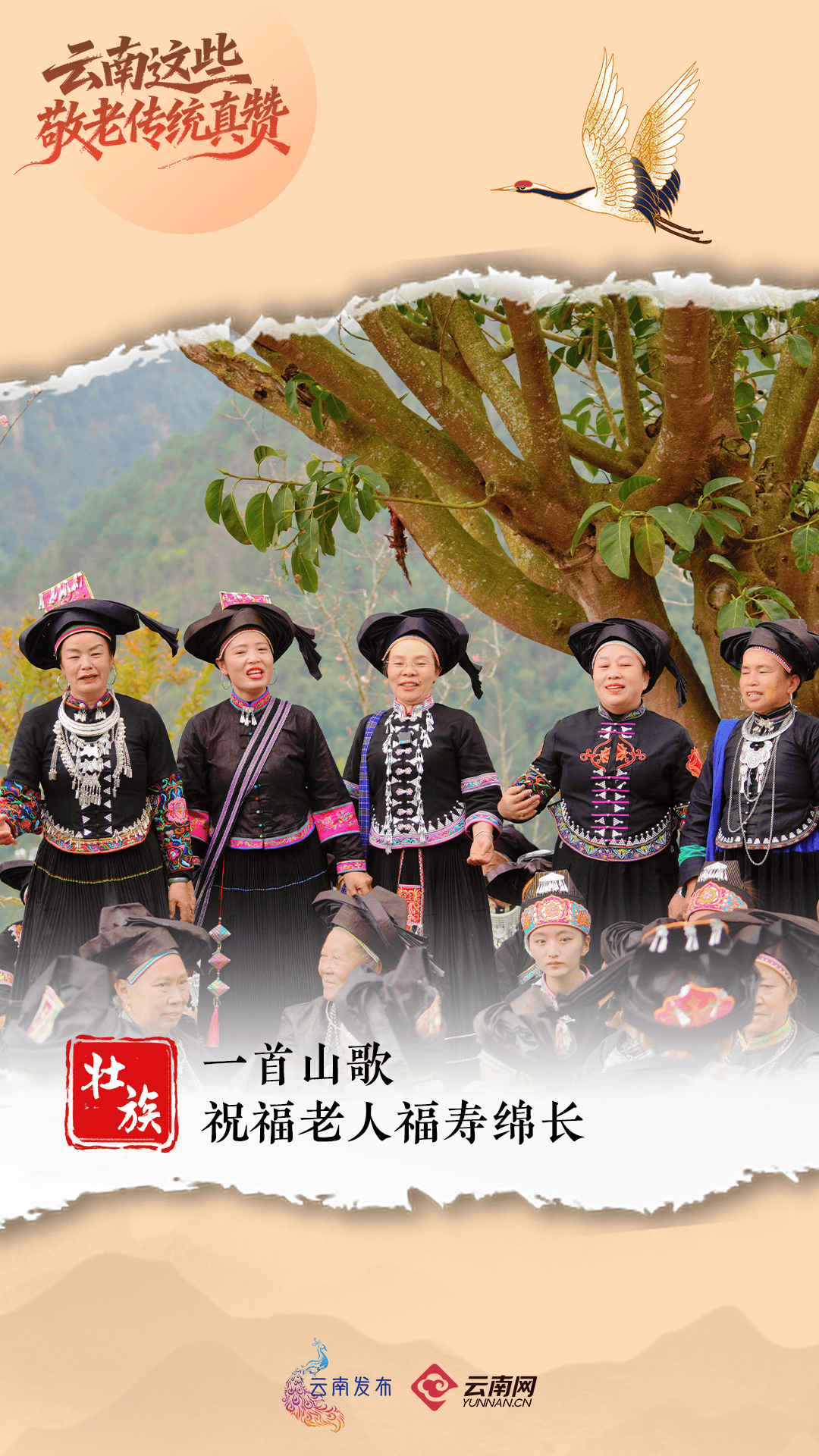 今天,回家看看~